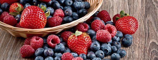 Our range of prepared fruit