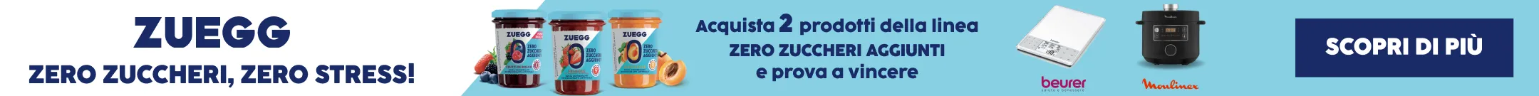 concorso zuegg