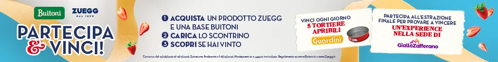 concorso zuegg